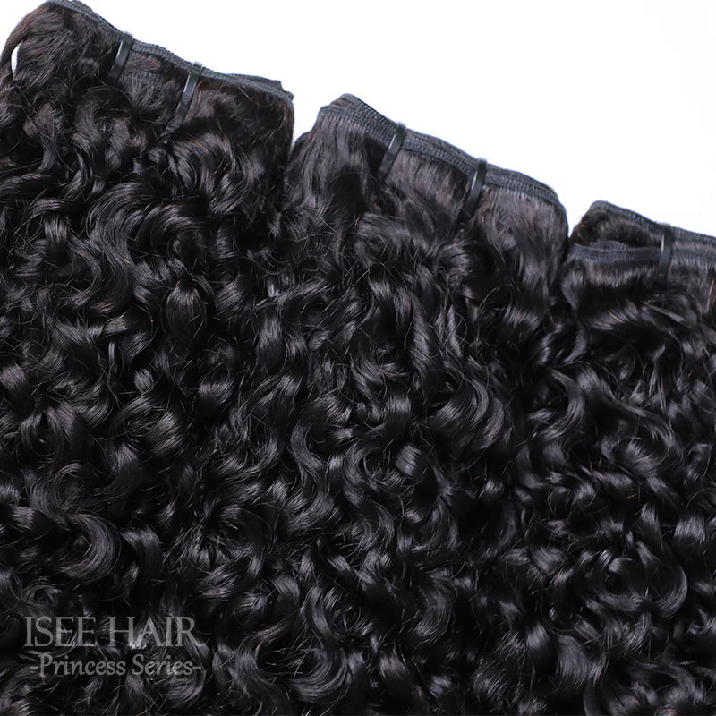 Burmese Curly Human Hair Bundles Deal